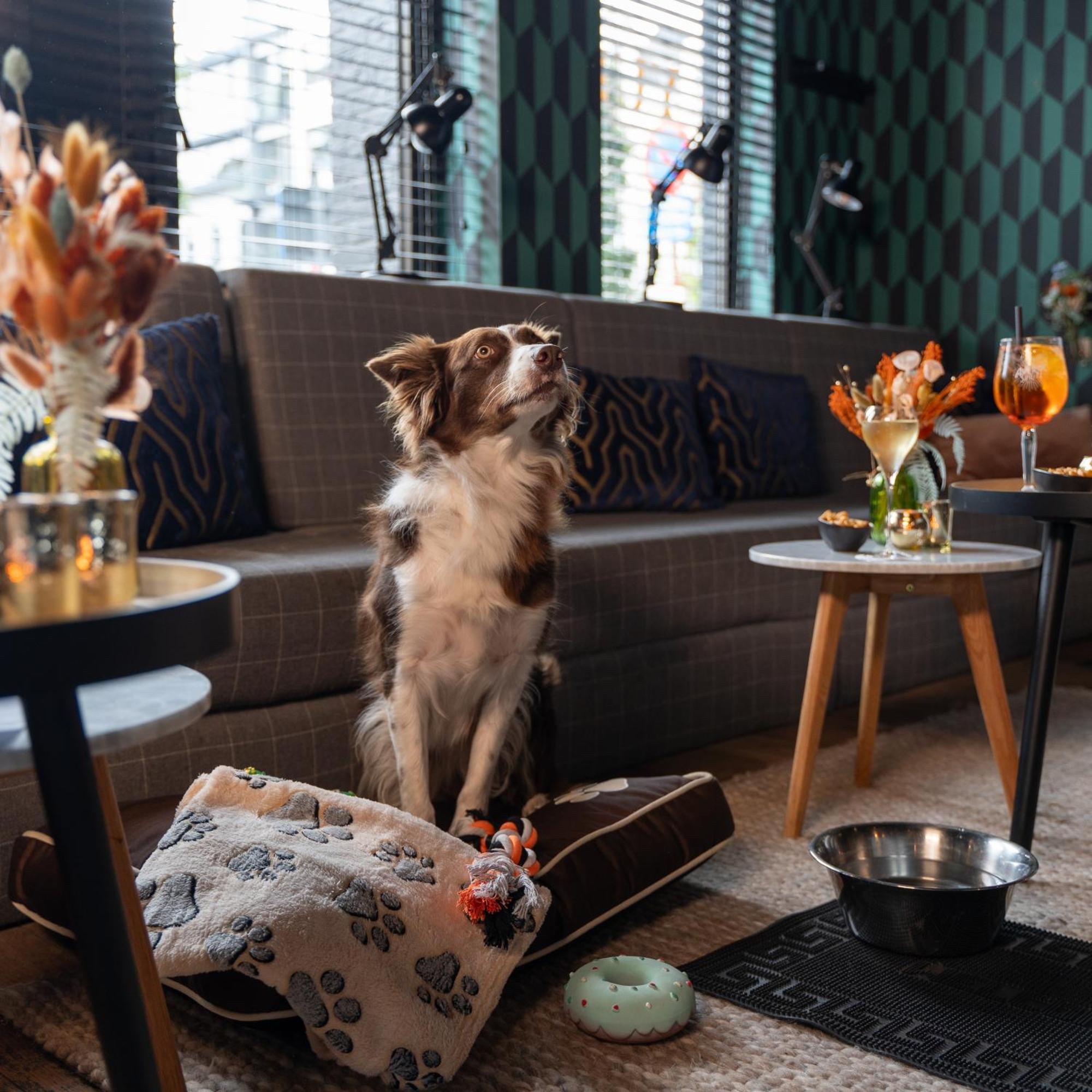 Ibis Styles Hasselt City Centre Ngoại thất bức ảnh